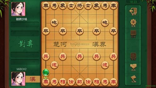 Bị cáo Lan tại tòa.